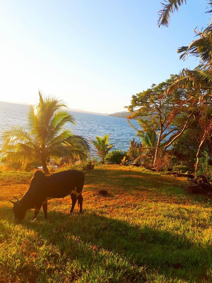 Bed and Breakfast Les Jardins D'Ankify Andimaka Exterior foto